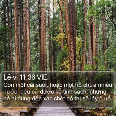Lê-vi 11:36 VIE Bible Verse Image