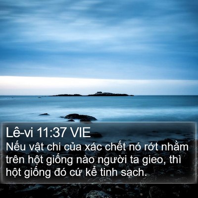 Lê-vi 11:37 VIE Bible Verse Image