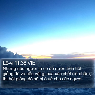 Lê-vi 11:38 VIE Bible Verse Image