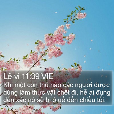 Lê-vi 11:39 VIE Bible Verse Image
