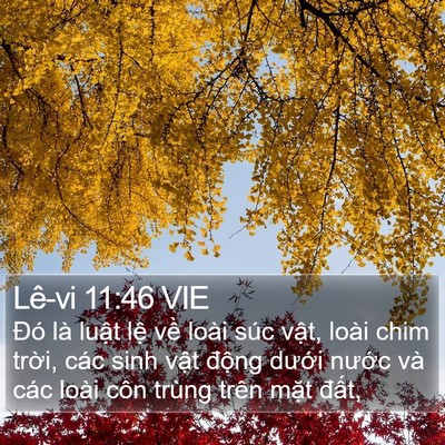 Lê-vi 11:46 VIE Bible Verse Image