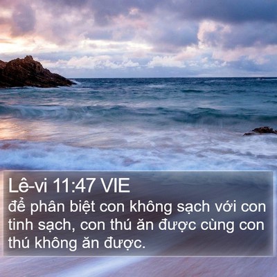 Lê-vi 11:47 VIE Bible Verse Image