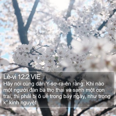 Lê-vi 12:2 VIE Bible Verse Image