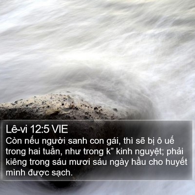 Lê-vi 12:5 VIE Bible Verse Image