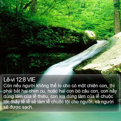 Lê-vi 12:8 VIE Bible Verse Image