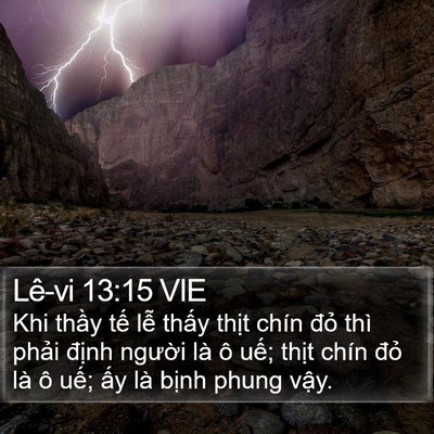 Lê-vi 13:15 VIE Bible Verse Image