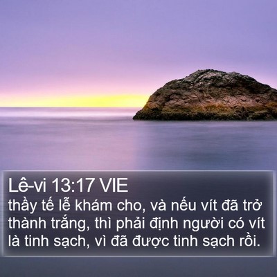 Lê-vi 13:17 VIE Bible Verse Image