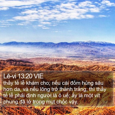 Lê-vi 13:20 VIE Bible Verse Image