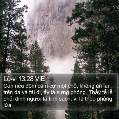Lê-vi 13:28 VIE Bible Verse Image