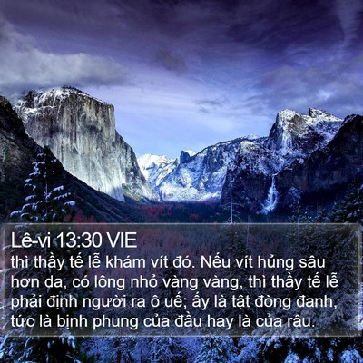Lê-vi 13:30 VIE Bible Verse Image