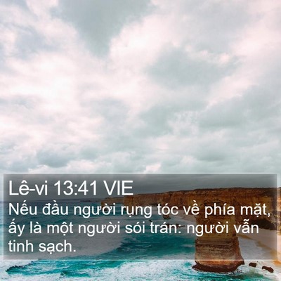Lê-vi 13:41 VIE Bible Verse Image