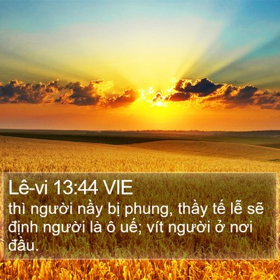 Lê-vi 13:44 VIE Bible Verse Image