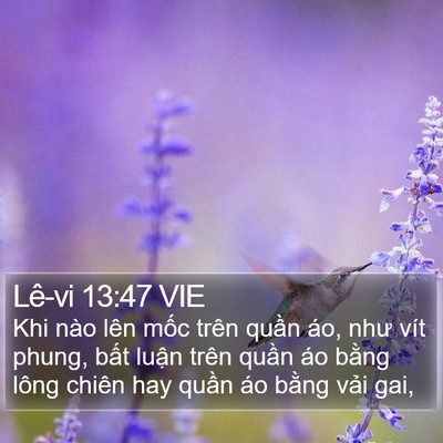 Lê-vi 13:47 VIE Bible Verse Image