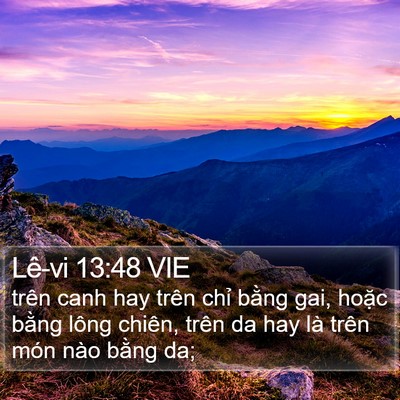 Lê-vi 13:48 VIE Bible Verse Image