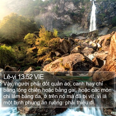 Lê-vi 13:52 VIE Bible Verse Image