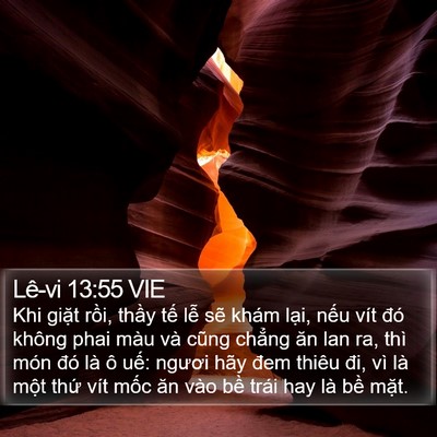 Lê-vi 13:55 VIE Bible Verse Image