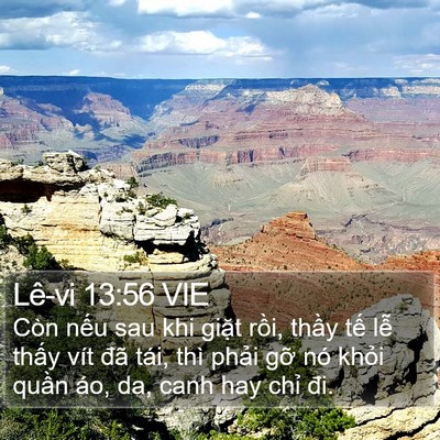 Lê-vi 13:56 VIE Bible Verse Image