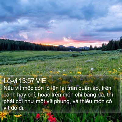 Lê-vi 13:57 VIE Bible Verse Image