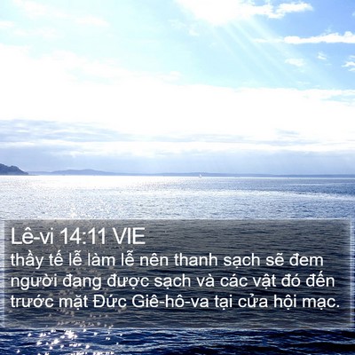 Lê-vi 14:11 VIE Bible Verse Image