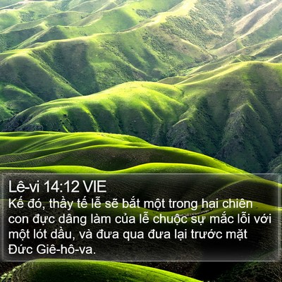 Lê-vi 14:12 VIE Bible Verse Image