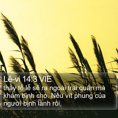Lê-vi 14:3 VIE Bible Verse Image