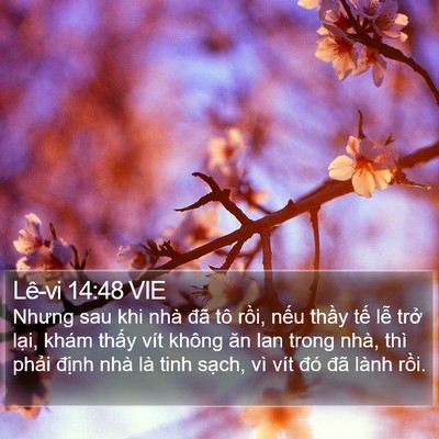 Lê-vi 14:48 VIE Bible Verse Image