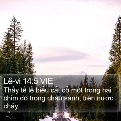 Lê-vi 14:5 VIE Bible Verse Image