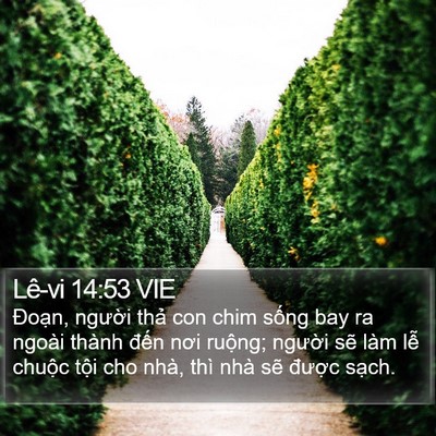 Lê-vi 14:53 VIE Bible Verse Image