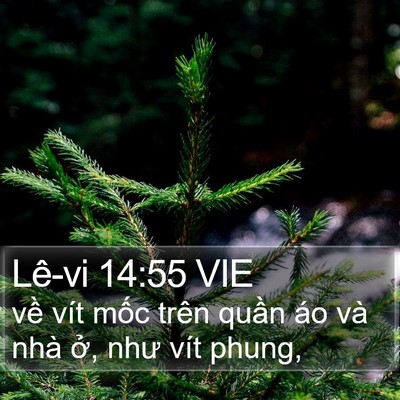 Lê-vi 14:55 VIE Bible Verse Image
