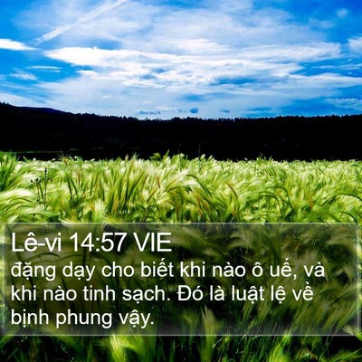 Lê-vi 14:57 VIE Bible Verse Image