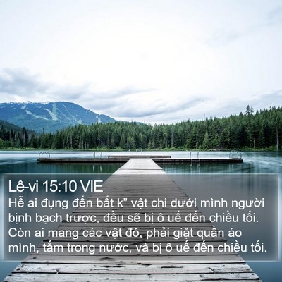 Lê-vi 15:10 VIE Bible Verse Image