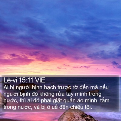 Lê-vi 15:11 VIE Bible Verse Image