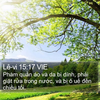 Lê-vi 15:17 VIE Bible Verse Image