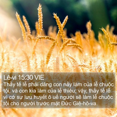 Lê-vi 15:30 VIE Bible Verse Image