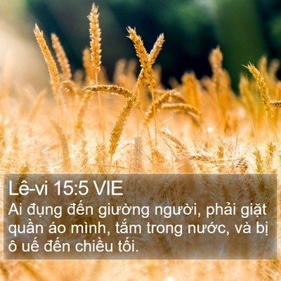 Lê-vi 15:5 VIE Bible Verse Image