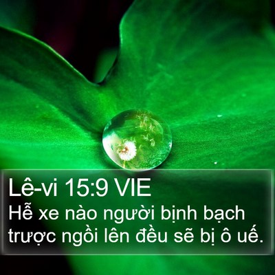 Lê-vi 15:9 VIE Bible Verse Image