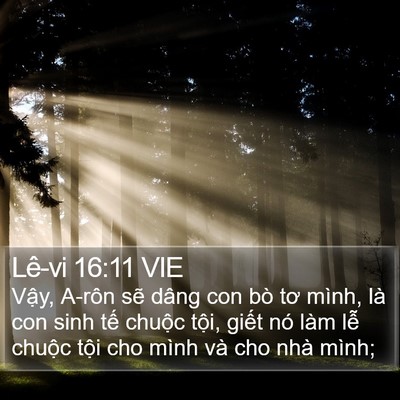 Lê-vi 16:11 VIE Bible Verse Image