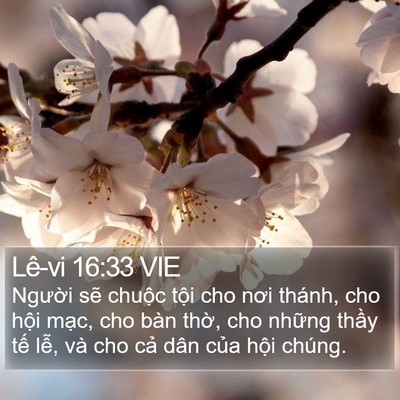 Lê-vi 16:33 VIE Bible Verse Image