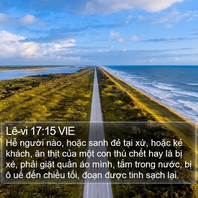 Lê-vi 17:15 VIE Bible Verse Image