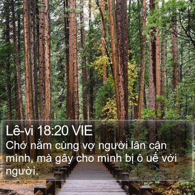 Lê-vi 18:20 VIE Bible Verse Image