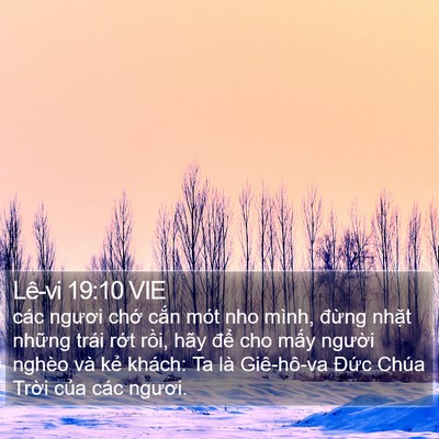 Lê-vi 19:10 VIE Bible Verse Image