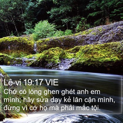 Lê-vi 19:17 VIE Bible Verse Image