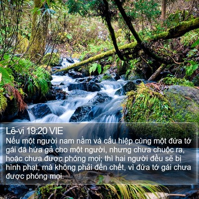 Lê-vi 19:20 VIE Bible Verse Image