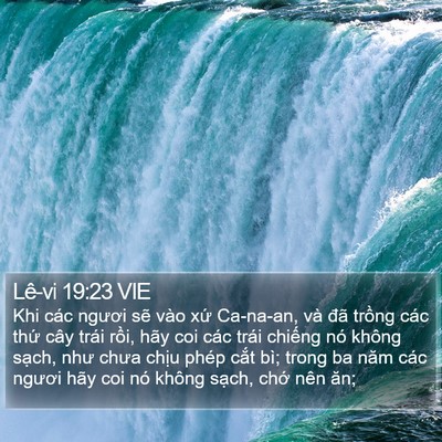 Lê-vi 19:23 VIE Bible Verse Image