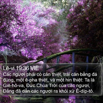 Lê-vi 19:36 VIE Bible Verse Image