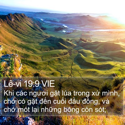 Lê-vi 19:9 VIE Bible Verse Image