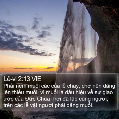 Lê-vi 2:13 VIE Bible Verse Image