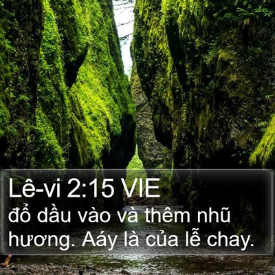 Lê-vi 2:15 VIE Bible Verse Image