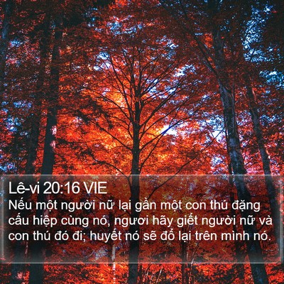 Lê-vi 20:16 VIE Bible Verse Image