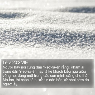 Lê-vi 20:2 VIE Bible Verse Image